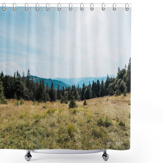 Personality  Pine Trees In Golden Field In Mountain Valley  Shower Curtains