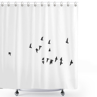 Personality  Flocks Of Flying Pigeons Isolated On White Background. Clipping  Shower Curtains