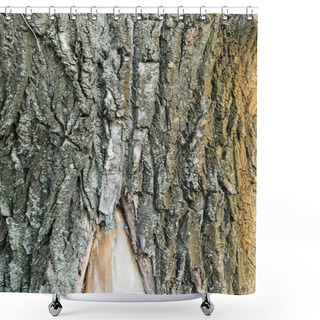 Personality  Close Up View Of Textured Bark Of Aging Tree, Ecology Concept Shower Curtains