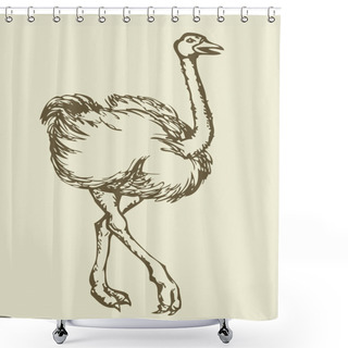 Personality  Going Ostrich. Vector Drawing Shower Curtains
