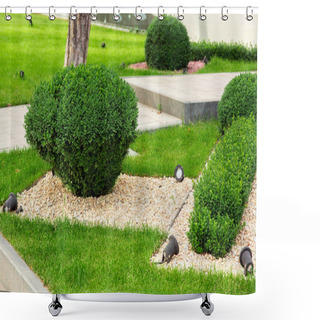 Personality  Landscape Design Evergreen Bush Boxwood With Mulching Pebbles And A Green Lawn With Black Lighting Fixtures For Garden Illumination. Shower Curtains