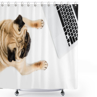 Personality  Pug Dog With Laptop Shower Curtains