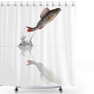 Personality  Small Perch With Reflection Shower Curtains