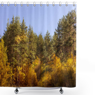 Personality  Golden Magic Autumn Forest With Colorful Trees Shower Curtains
