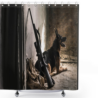 Personality  Selective Focus Of  German Shepherd Dog Sitting On Floor Near Gun In Abandoned Building, Post Apocalyptic Concept Shower Curtains