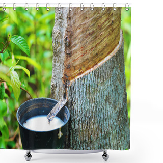Personality  Rubber Latex Of Rubber Tree Shower Curtains