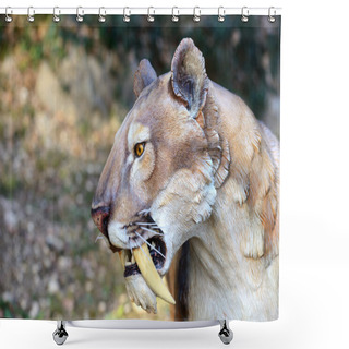 Personality  Smilodon - Saber Tooth Tiger Shower Curtains
