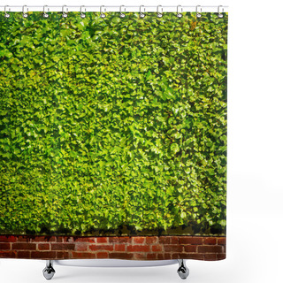 Personality  Art Fresh Plants Walls For Background Shower Curtains