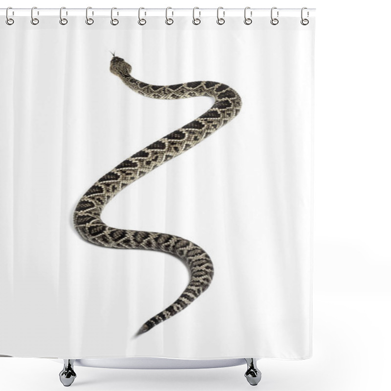 Personality  Western Diamondback Rattlesnake Or Texas Diamond-back In Front O Shower Curtains