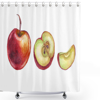Personality  Apple. Watercolor Illustration. Hand Painted  Shower Curtains