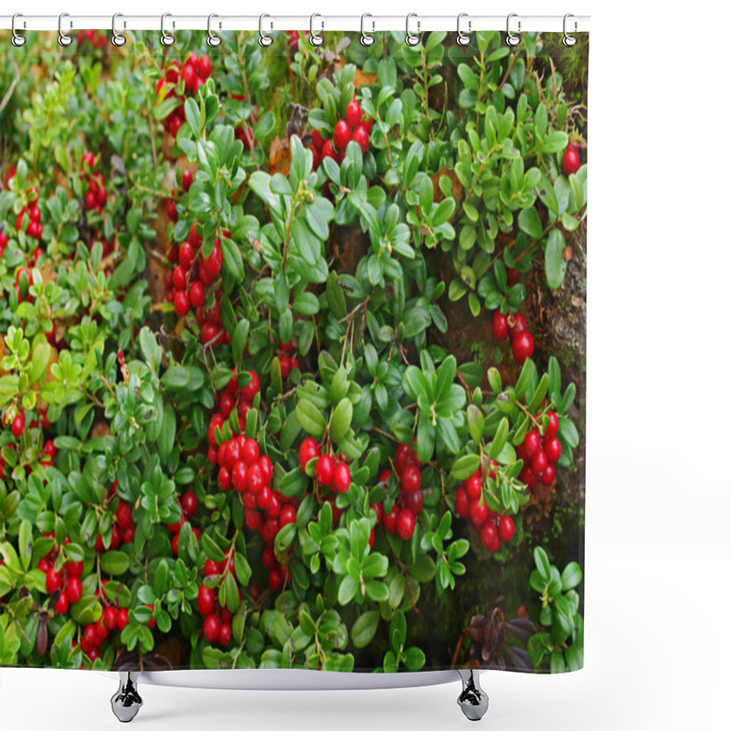 Personality  Cowberry On Green Nature Background. Shower Curtains