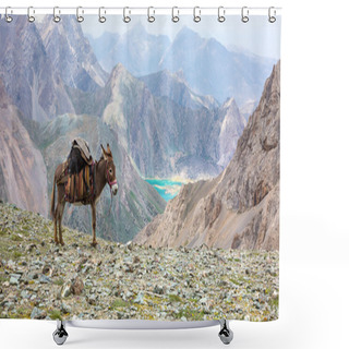 Personality  Cargo Donkey In Mountain Area Shower Curtains