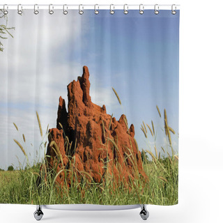 Personality  Termite Mound Shower Curtains