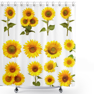 Personality  Sunflowers Collection  Shower Curtains