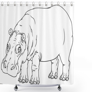 Personality  Hand Drawing Outline Illustration Of Hippo Shower Curtains