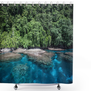 Personality  Forest, Reef, And Water Shower Curtains