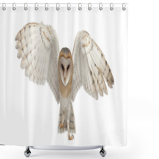Personality  Barn Owl, Tyto Alba, 4 Months Old, Portrait Flying Against White Background Shower Curtains