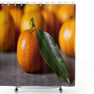 Personality  Selective Focus Of Sweet Orange Clementine With Green Leaf Near Tangerines Shower Curtains