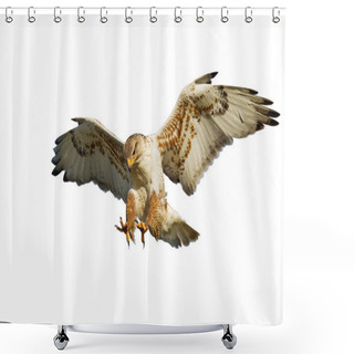 Personality  Hawk On White Shower Curtains
