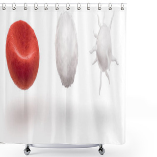 Personality  Blood Cells Isolated On White Background, 3D Illustration Shower Curtains