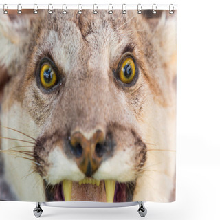 Personality  The Cougar, Also Commonly Known As The Puma, Mountain Lion, Panther Or Catamount Shower Curtains
