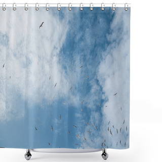 Personality  Flock Of Seagulls In Sky Shower Curtains