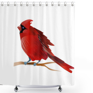 Personality  Vector Illustration Of Cardinal Shower Curtains