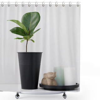 Personality  Modern Stylish  Element Composition With  Fiddle Fig Houseplant In Black Vase,elephant Statue And Candle  Spa On White Table Room Interior  Shower Curtains
