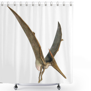 Personality  Landing Pteranodon Shower Curtains