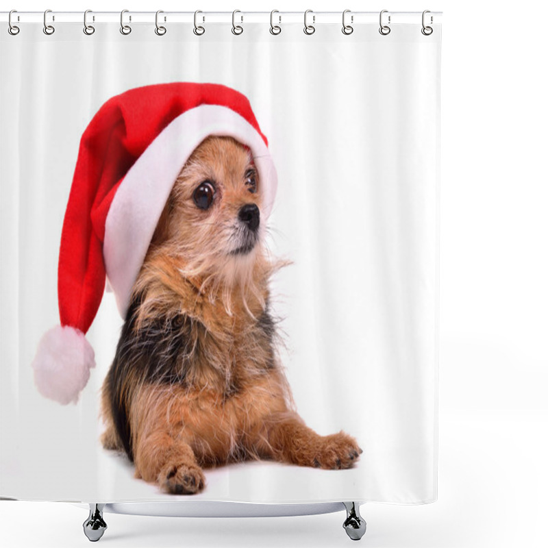 Personality  Christmas dog wearing red Santa hat shower curtains