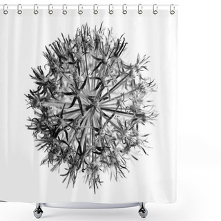 Personality  Fluffy White Dandelion Shower Curtains