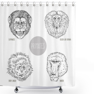 Personality  Sketchy Zoological Collection On White Shower Curtains