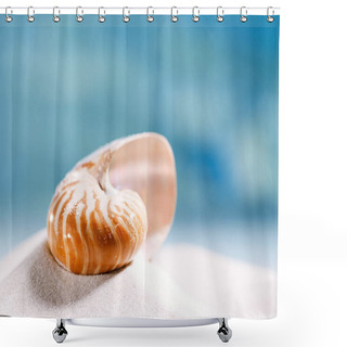 Personality  Nautilus Shell On White  Sand Shower Curtains