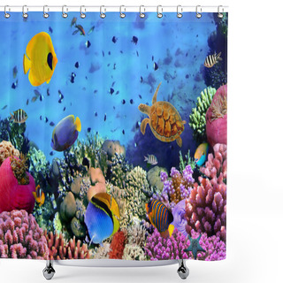 Personality  Photo Of A Coral Colony Shower Curtains