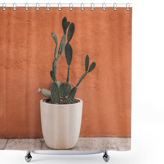 Personality  Green Cactus In White Flowerpot Near Wall  Shower Curtains