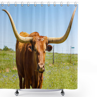 Personality  Beautiful Longhorn Bull Shower Curtains