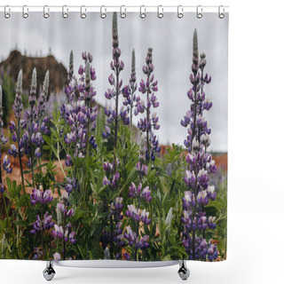 Personality  Lupines Shower Curtains