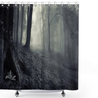 Personality  Mysterious Forest On A Misty Evening Shower Curtains