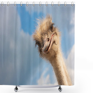 Personality  Ostrich Head Closeup Shower Curtains