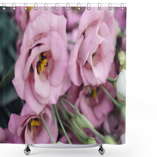 Personality  Pink Lisianthus Flower Decoration. Shower Curtains