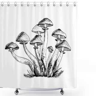 Personality  Vector Illustration Of Honey Agarics Shower Curtains