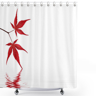 Personality  Red Maple Leaves On White Background Touching The Water Shower Curtains