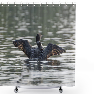 Personality  Male Common Loon Displaying On A Northwoods Lake Shower Curtains