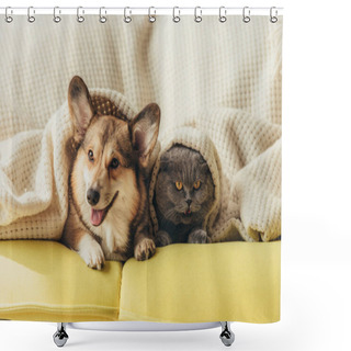 Personality  Funny Pets Lying Under Blanket On Sofa  Shower Curtains