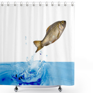 Personality  Jumping Fish Shower Curtains