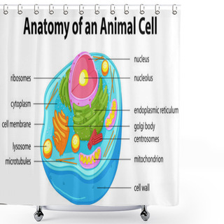Personality  Diagram Showing Anatomy Of Animal Cell Shower Curtains