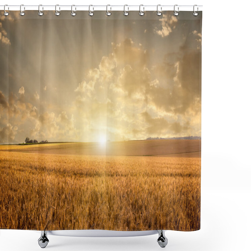 Personality  Golden Wheat Field Shower Curtains