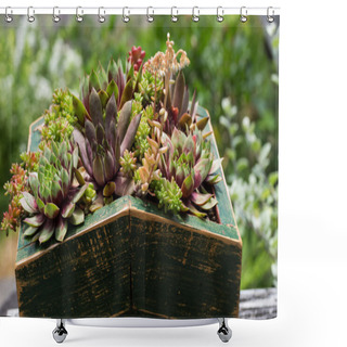 Personality  Sedum Plants Used For Green Roof Shower Curtains