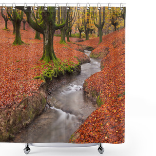 Personality  Fall In The Forest Shower Curtains