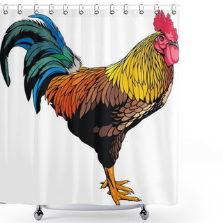 Personality  Rooster Shower Curtains